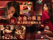 金鱼报恩》情人节限定宠物女友